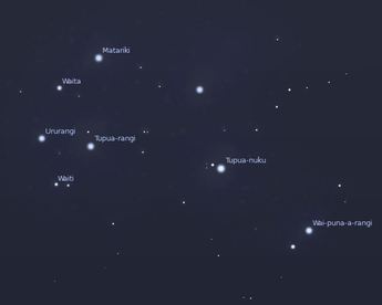 a picture showing the stars of Matariki